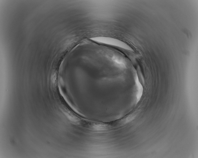 X0000111200336200907291235