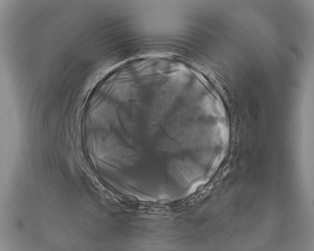 X0000111200337200907291234