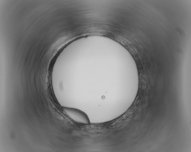 X0000111200338200907291234