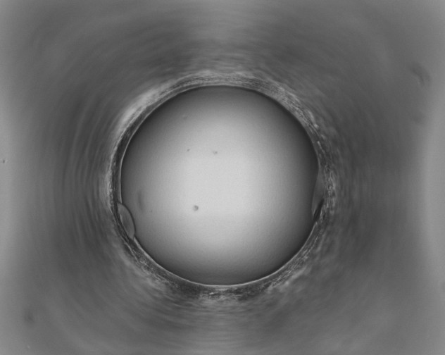 X0000111200340200907291234