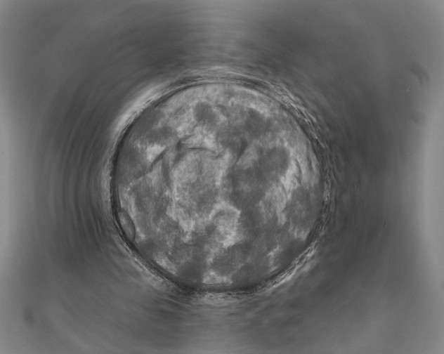 X0000111200341200907291234