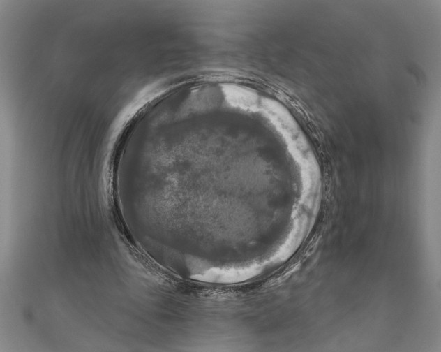 X0000111200343200907291234