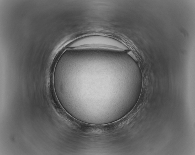 X0000111200344200907291234