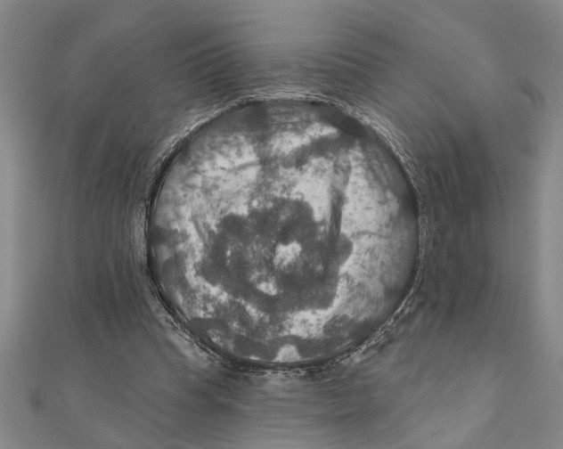 X0000111200345200907291234