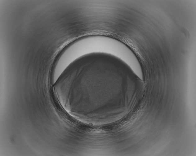 X0000111200348200907291234