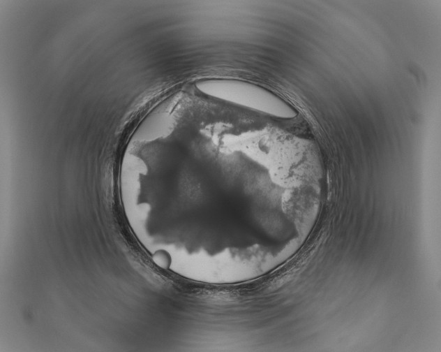 X0000111200349200907291234