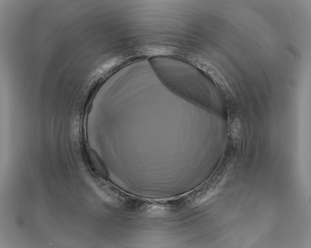 X0000111200352200907291234