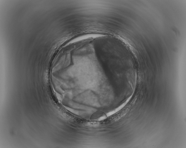 X0000111200353200907291234