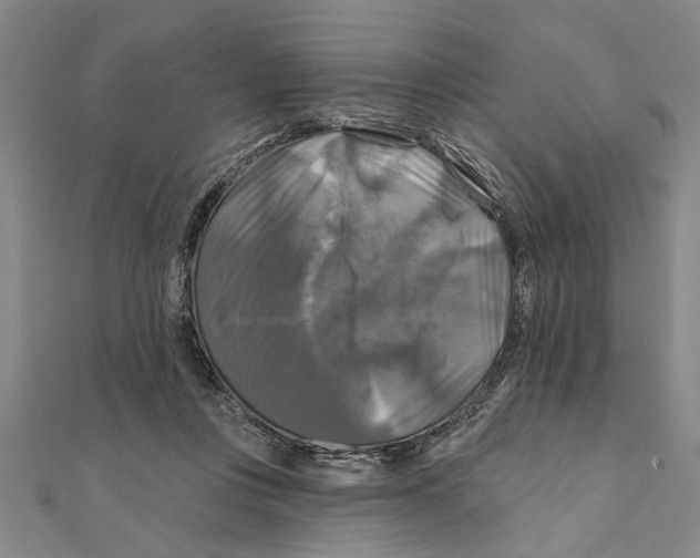 X0000111200359200907291235