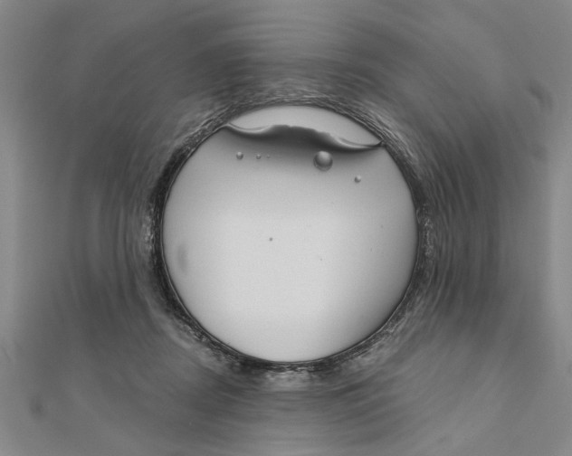 X0000111200362200907291235