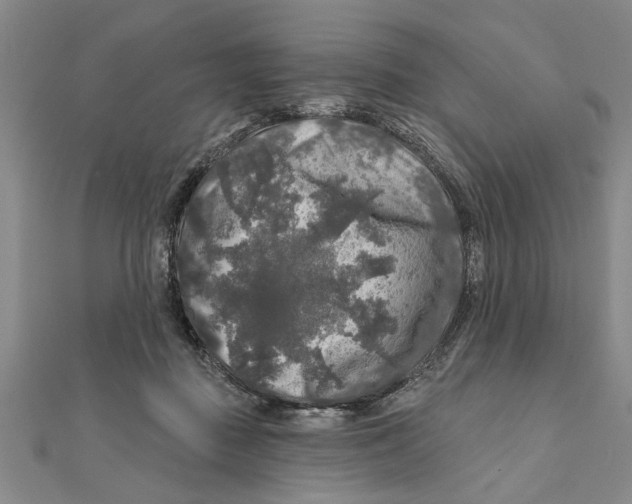 X0000111200363200907291235