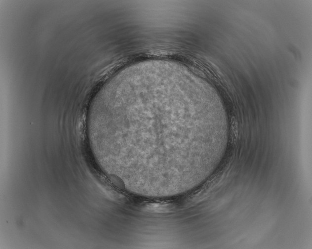 X0000111200364200907291235