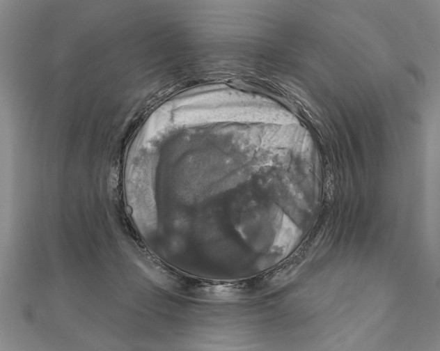 X0000111200365200907291235