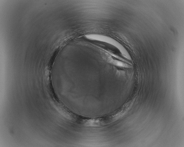 X0000111200366200907291235