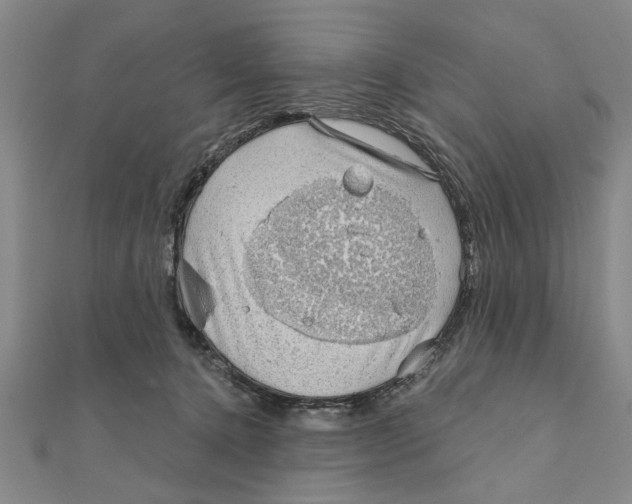 X0000111200368200907291235