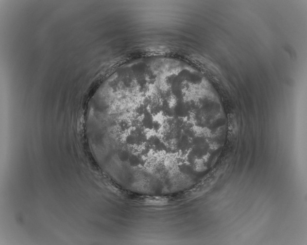 X0000111200369200907291235