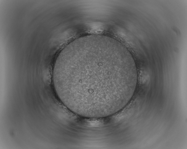 X0000111200370200907291235