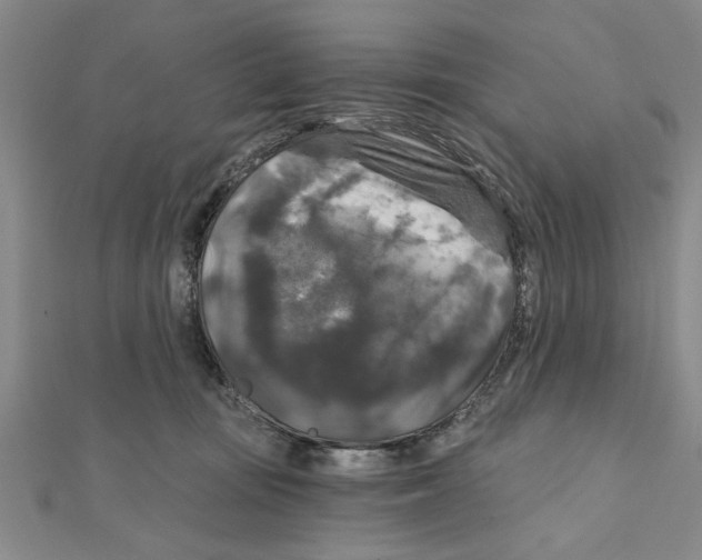 X0000111200371200907291235