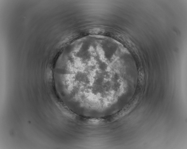 X0000111200375200907291235