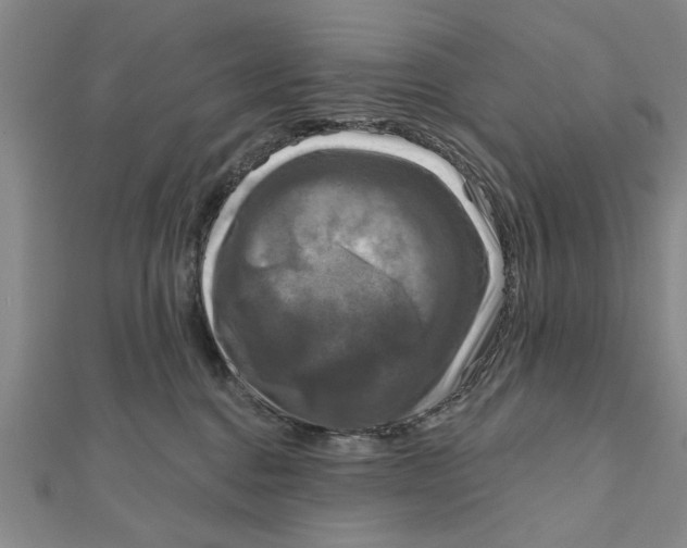 X0000111200376200907291235