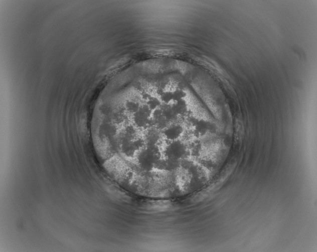 X0000111200377200907291235