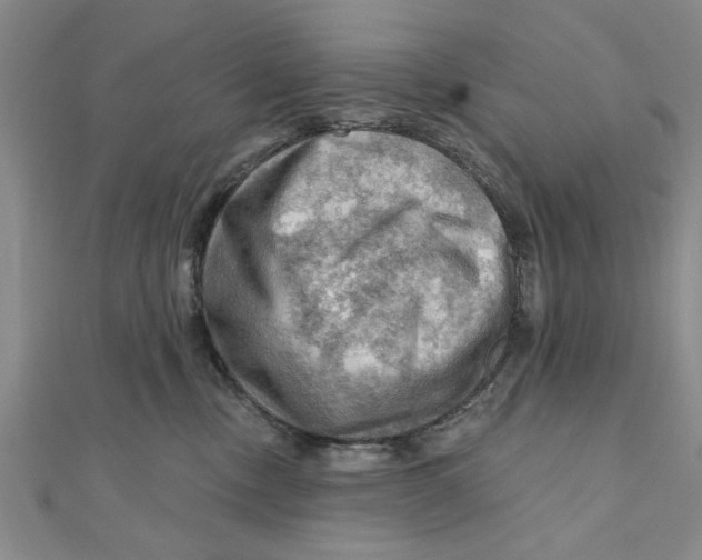 X0000111200378200907291235