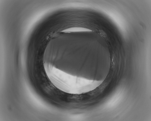 X0000111200383200907291235