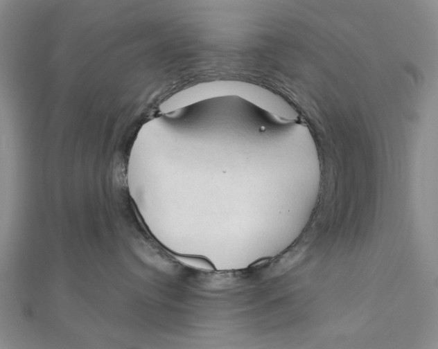 X0000111200384200907291235