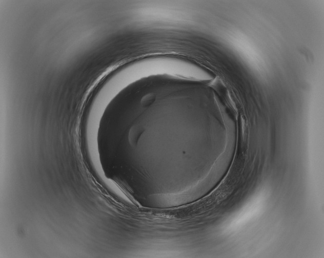 X0000111200387200907291234