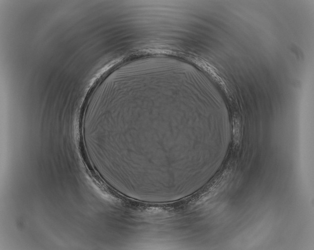 X0000111200390200907291234