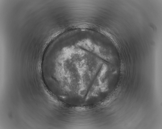 X0000111200394200907291234