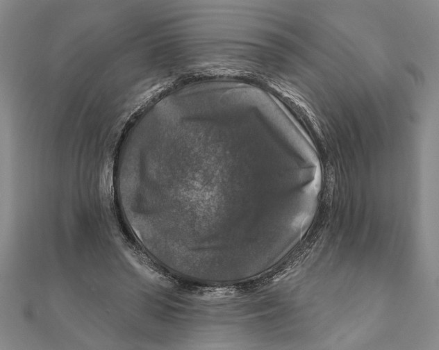 X0000111200398200907291234