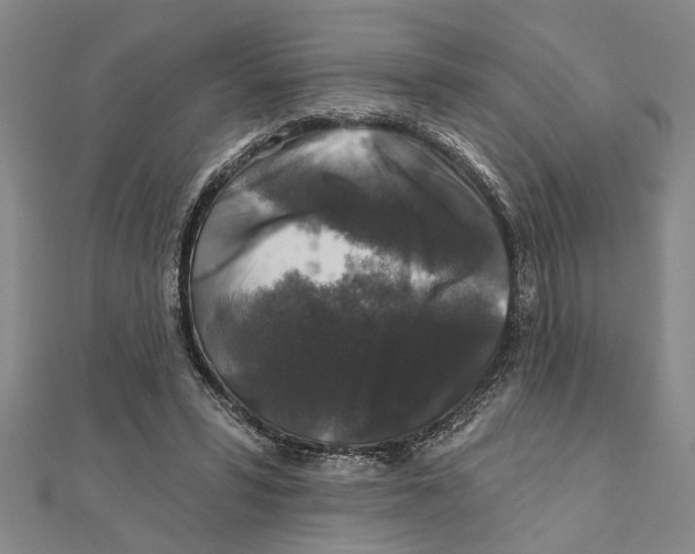 X0000111200399200907291234