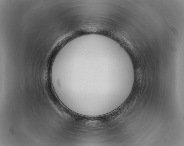 X0000111200400200907291234