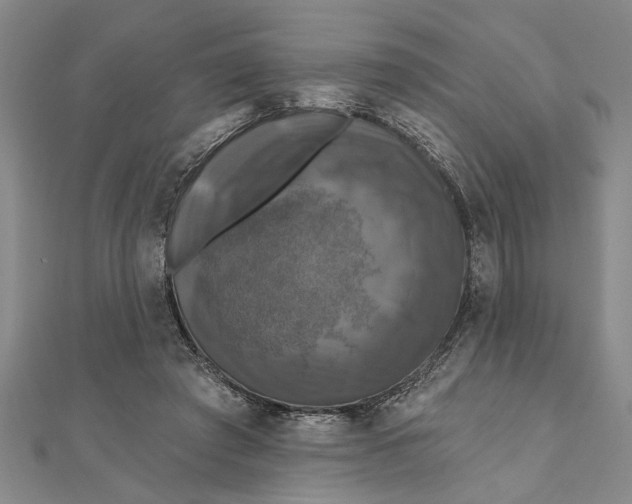 X0000111200401200907291234