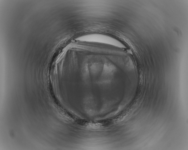 X0000111200403200907291234