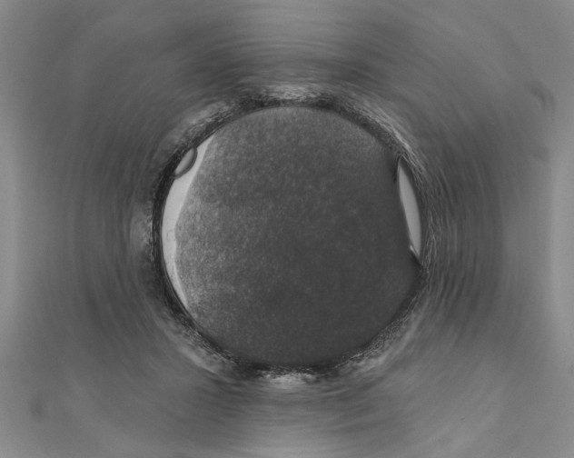 X0000111200407200907291234