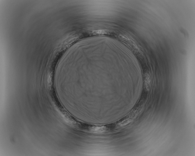 X0000111200410200907291234