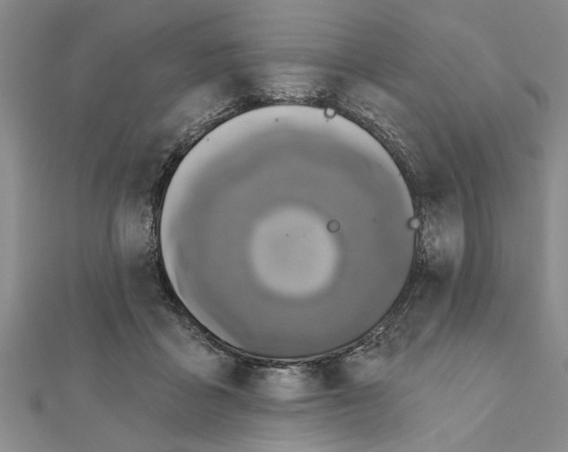 X0000111200411200907291234