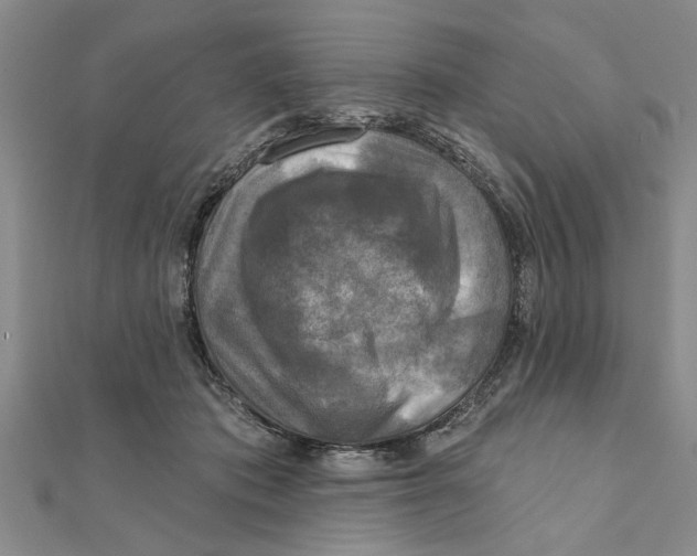 X0000111200413200907291234