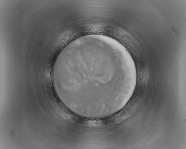 X0000111200415200907291234