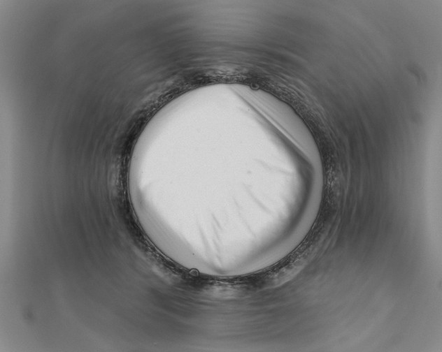 X0000111200416200907291234