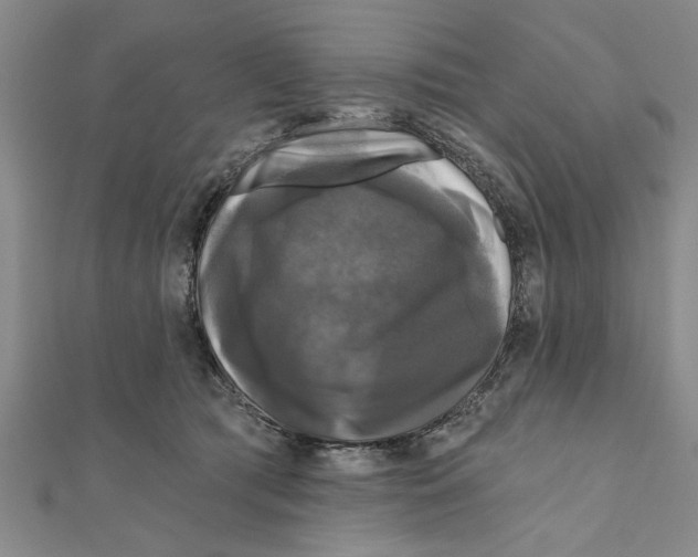 X0000111200417200907291234