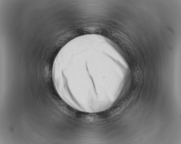 X0000111200420200907291234