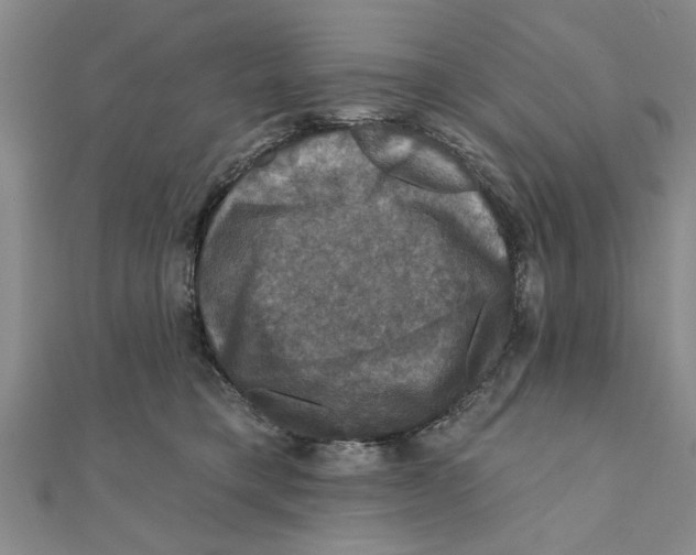 X0000111200421200907291234