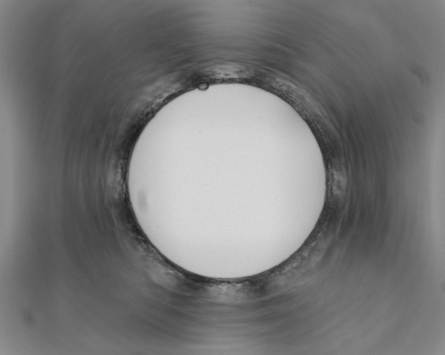 X0000111200422200907291234