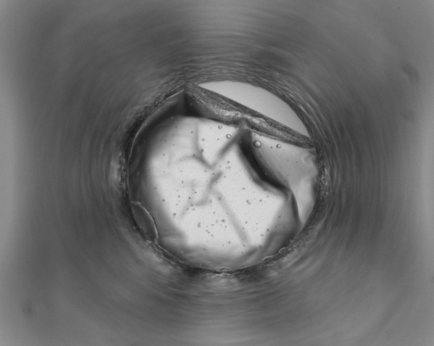 X0000111200424200907291234