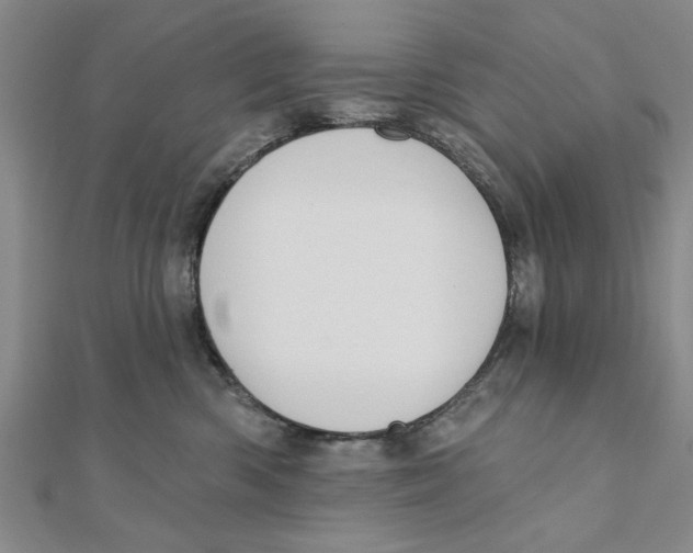 X0000111200426200907291234