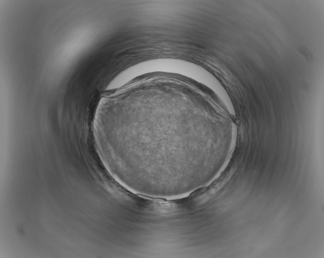 X0000111200429200907291234