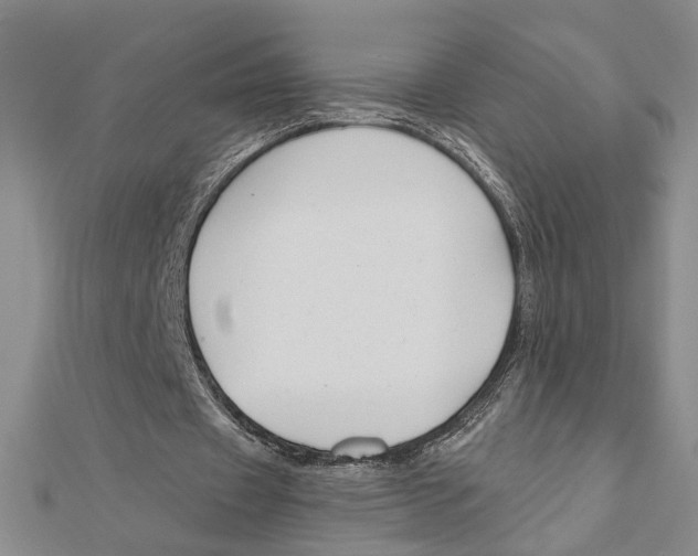 X0000111200433200907291233